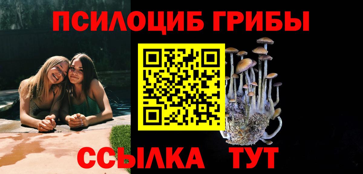 Псилоцибиновые грибы Cubensis Ачинск