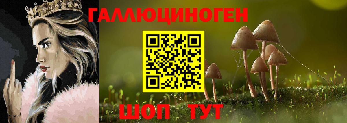 Галлюциногенные грибы ЛСД  Вход с VPN  Ачинск 