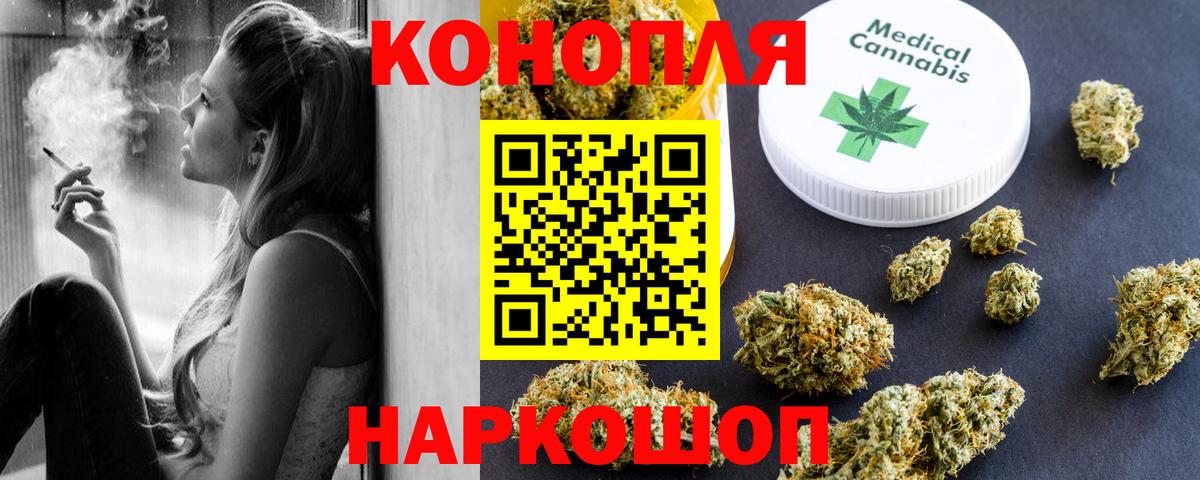 Конопля гибрид Ачинск